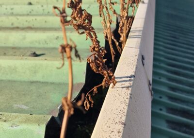 Commercial Gutter Cleaning Lincolnshire